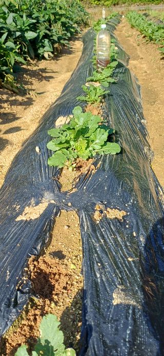 이강재님의 자유주제 · 자유게시판 작성글 사진