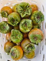 팜모닝 자유주제·자유게시판 게시글 이미지