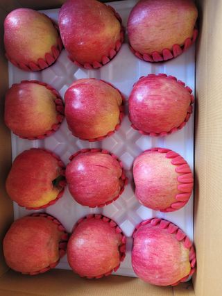 사과청일농원🍎님의 작성글 사진