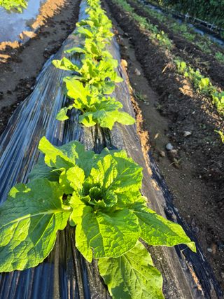 이정민님의 자유주제 · 자유게시판 작성글 사진