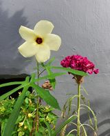 팜모닝 자유주제·자유게시판 게시글 이미지