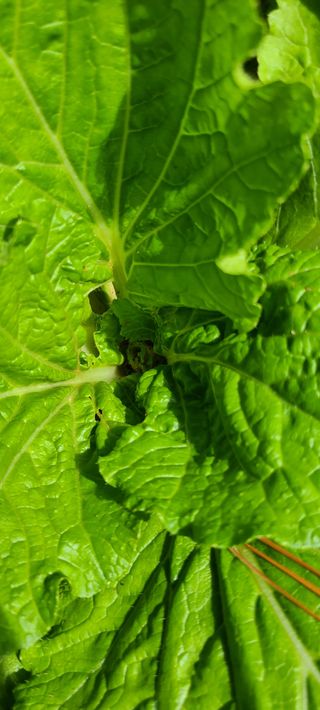 철우(이철우)님의 자유주제 · 자유게시판 작성글 사진