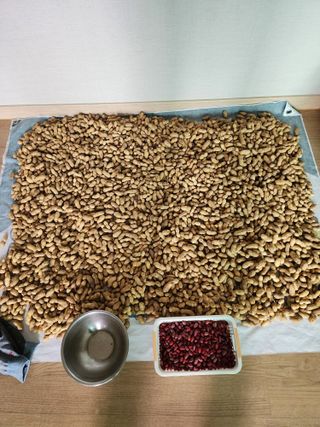 회사원&초보농사꾼님의 농사, 무엇이든 물어보세요! · 참여글 작성글 사진