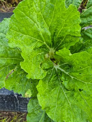 이정민님의 자유주제 · 자유게시판 작성글 사진