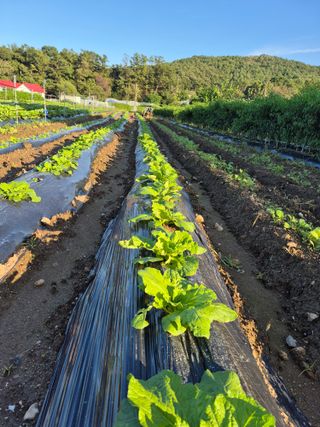 이정민님의 자유주제 · 자유게시판 작성글 사진