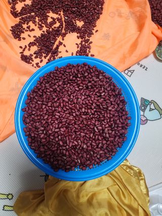 회사원&초보농사꾼님의 농사, 무엇이든 물어보세요! · 참여글 작성글 사진