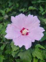 팜모닝 자유주제·자유게시판 게시글 이미지