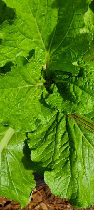 철우(이철우)님의 자유주제 · 자유게시판 작성글 사진