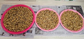 봉좌산님의 농사, 무엇이든 물어보세요! · 참여글 작성글 사진