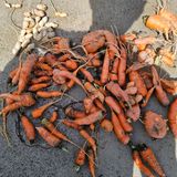 팜모닝 자유주제·건의해요 게시글 이미지