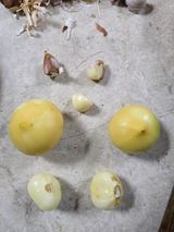 팜모닝 자유주제·자유게시판 게시글 이미지