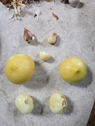 들깨19622님의 자유주제 · 자유게시판 작성글 사진