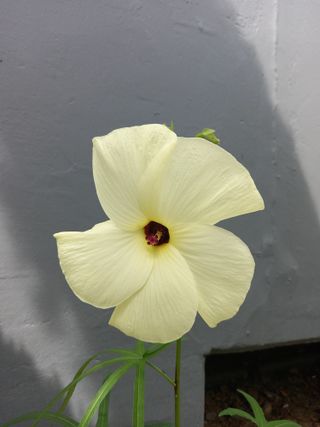 연향님의 자유주제 · 자유게시판 작성글 사진