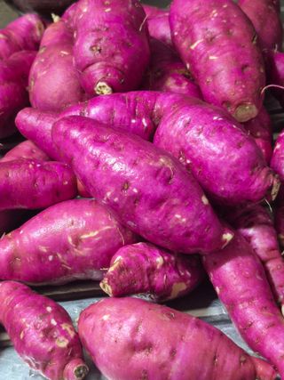 농부님.모두.모두힘님의 작성글 사진