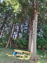 팜모닝 자유주제·자유게시판 게시글 이미지