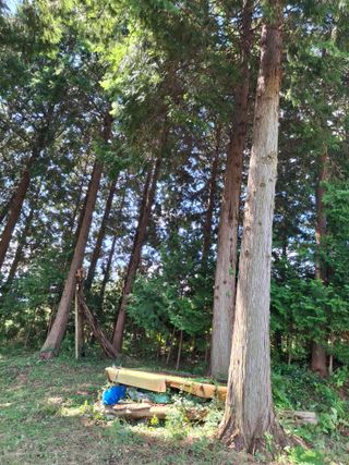 사랑은꿈님의 자유주제 · 자유게시판 작성글 사진