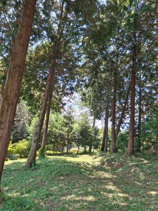 사랑은꿈님의 자유주제 · 자유게시판 작성글 사진