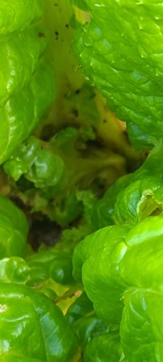 철우(이철우)님의 자유주제 · 자유게시판 작성글 사진