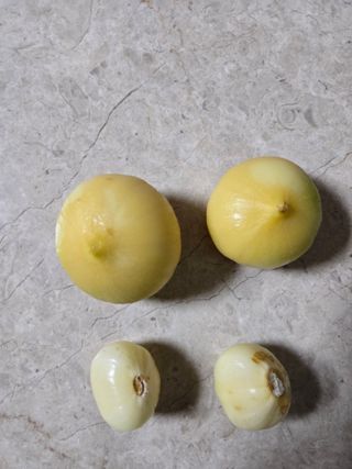 들깨19622님의 자유주제 · 자유게시판 작성글 사진