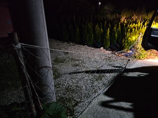 백용기님의 자유주제 · 자유게시판 작성글 사진