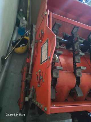 대왕소나무님의 작성글 사진