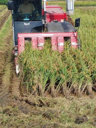 재연농장님의 자유주제 · 자유게시판 작성글 사진