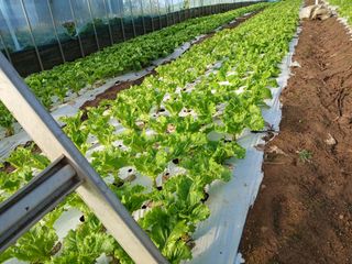 김성식님의 자유주제 · 자유게시판 작성글 사진