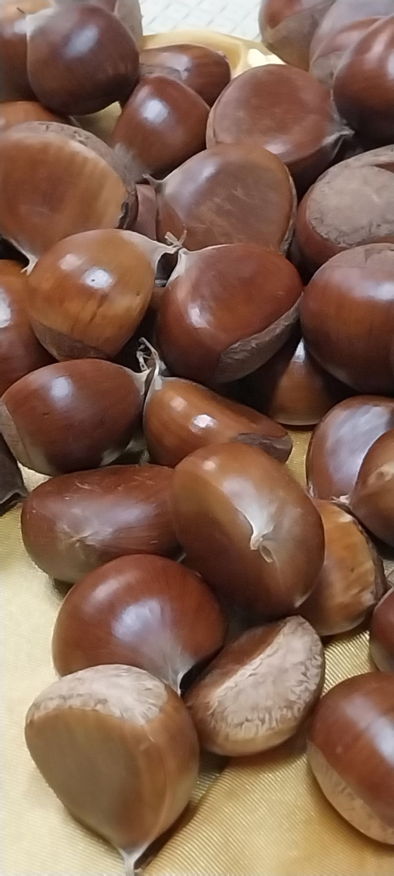 장터 상품 [판매완로산 알밤 소 3.5키로 판매합니다] 썸네일