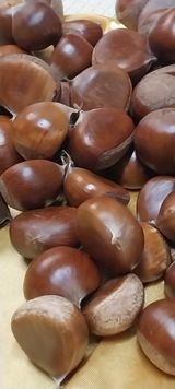 팜모닝 · 게시글 이미지