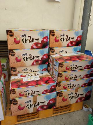 시골살이님의 자유주제 · 자유게시판 작성글 사진