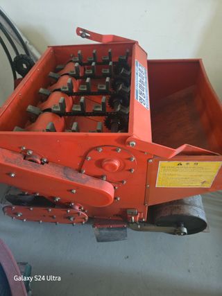 대왕소나무님의 작성글 사진