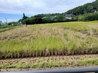 안동준 님의 자유주제 · 자유게시판 작성글 사진