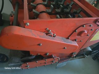 대왕소나무님의 작성글 사진