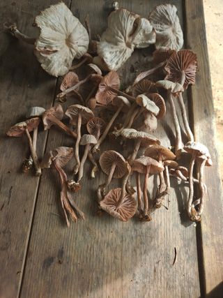 오선제님의 자유주제 · 자유게시판 작성글 사진