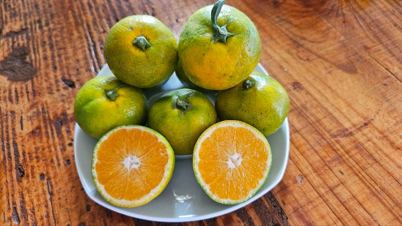 장터 상품 [그린향 판매합니다] 썸네일