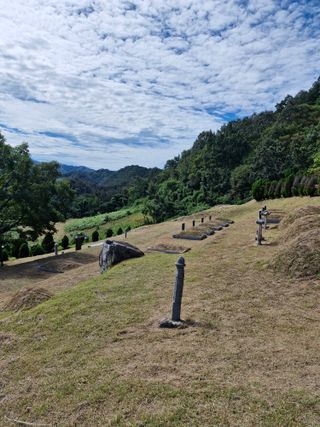 낙엽교목류21691님의 자유주제 · 자유게시판 작성글 사진