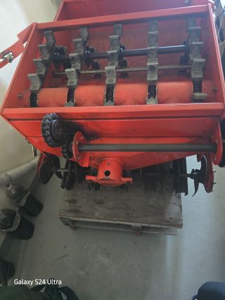 대왕소나무님의 작성글 사진