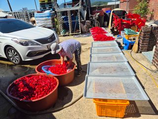 사천시향촌동 돼지띠님의 자유주제 · 자유게시판 작성글 사진