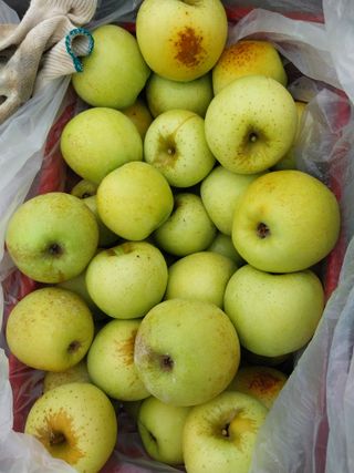 시골살이님의 자유주제 · 자유게시판 작성글 사진