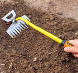 팜모닝 자유주제·자유게시판 게시글 이미지