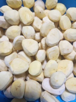 강물님의 자유주제 · 자유게시판 작성글 사진