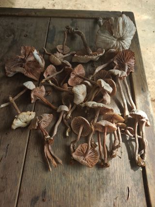 오선제님의 자유주제 · 자유게시판 작성글 사진