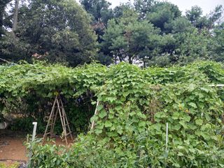 김형일님의 자유주제 · 자유게시판 작성글 사진