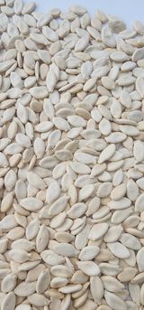 팜모닝 자유주제·자유게시판 게시글 이미지