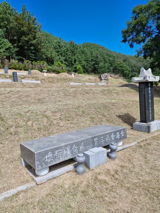 낙엽교목류21691님의 자유주제 · 자유게시판 작성글 사진