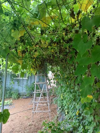 김형일님의 자유주제 · 자유게시판 작성글 사진