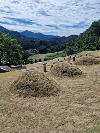 낙엽교목류21691님의 자유주제 · 자유게시판 작성글 사진