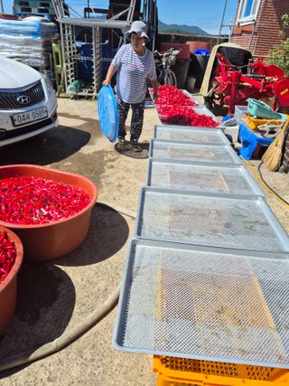 사천시향촌동 돼지띠님의 자유주제 · 자유게시판 작성글 사진