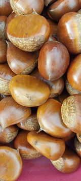 팜모닝 · 게시글 이미지