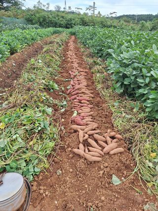 김용환님의 자유주제 · 자유게시판 작성글 사진